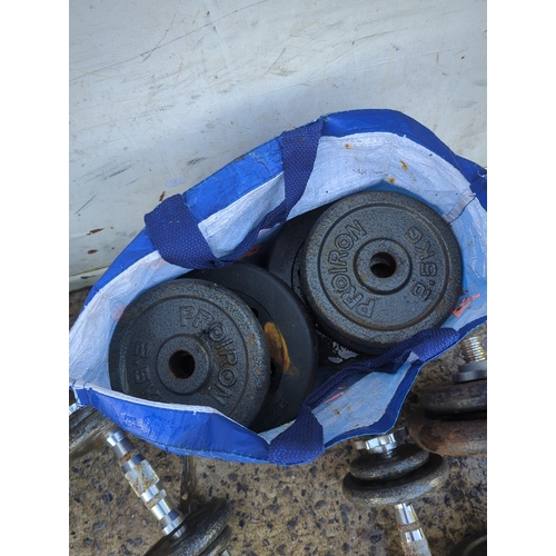 110 - Lot of 6 Dumbbells with Proiron Weights