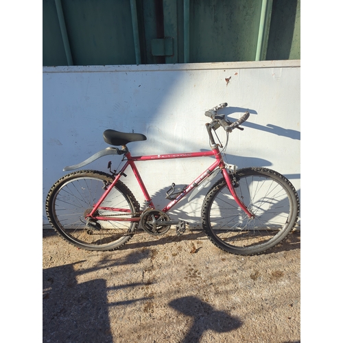 163 - Raleigh Energiser Hybrid Bicycle