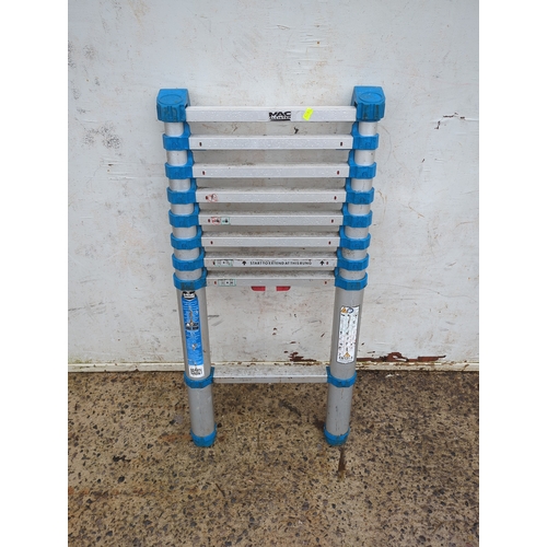 Mac Allister Telescopic Ladder