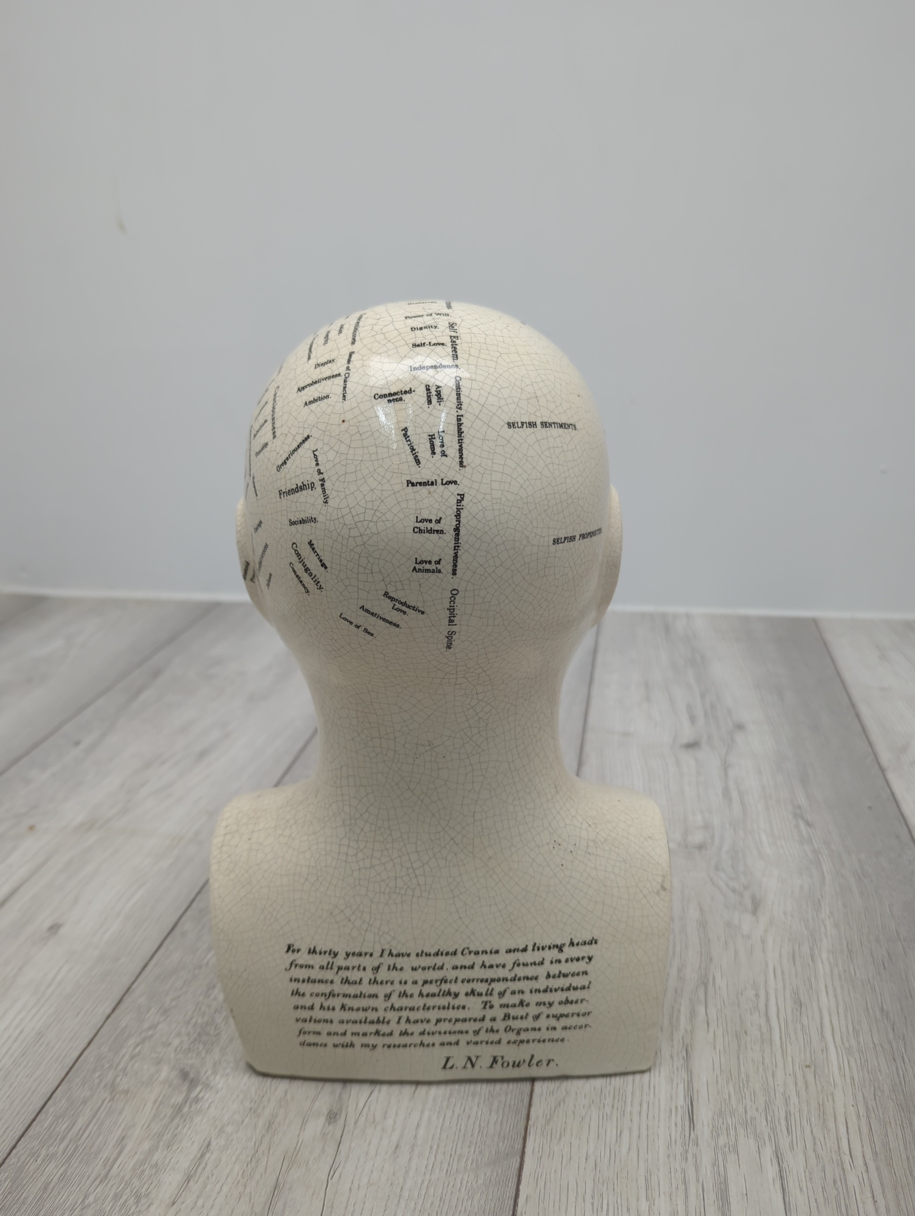 L.N. Fowler Phrenology Head