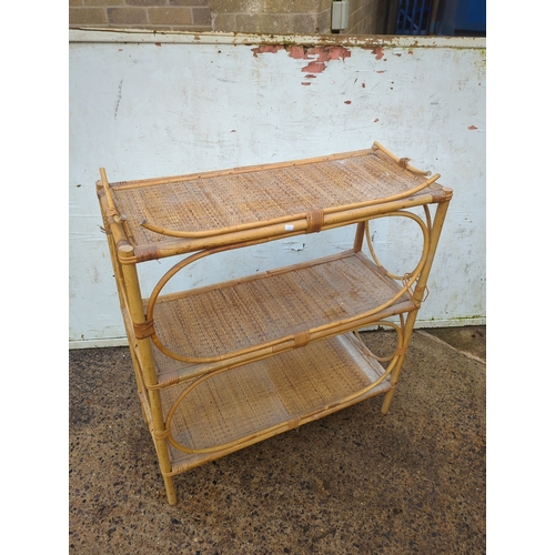 447 - Bamboo Shelf Unit