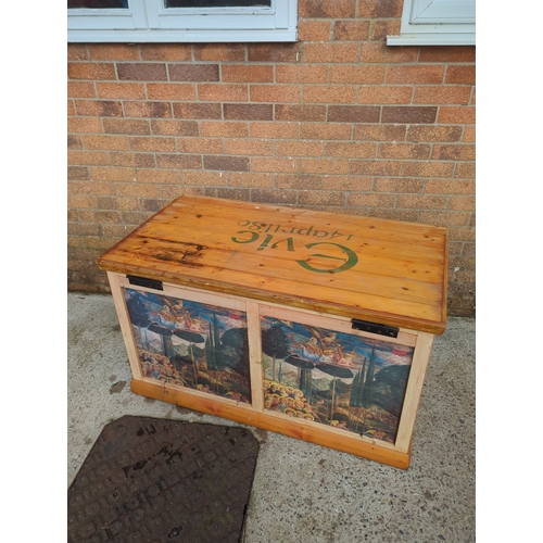 423 - Painted Pine Storage Chest