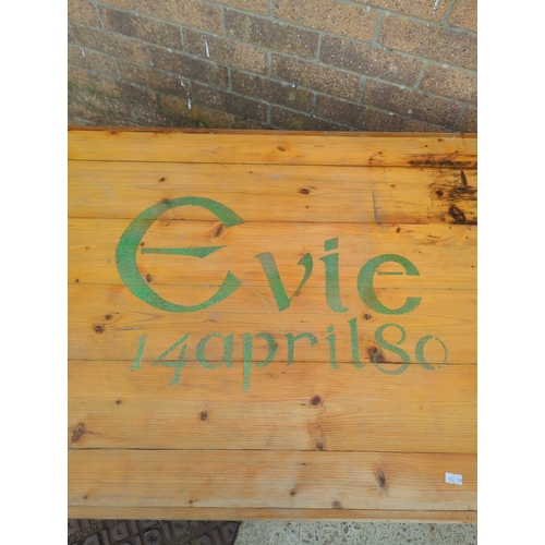 423 - Painted Pine Storage Chest