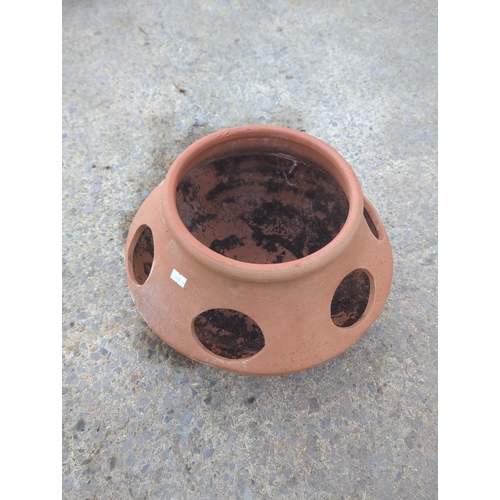 70 - Terracotta Strawberry Planter Pot