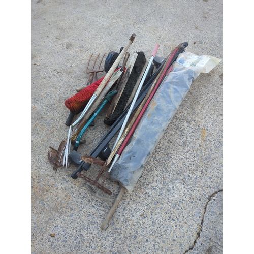 71 - Lot of Garden Tools including Hoes and Rakes