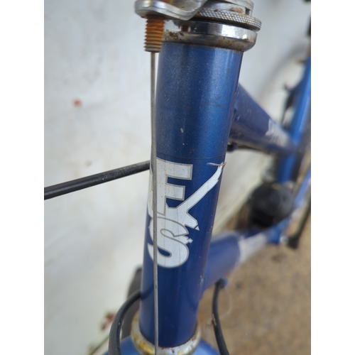 119 - Freespirit Sapphire Bicycle