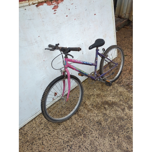 181 - Falcon Quantum bicycle