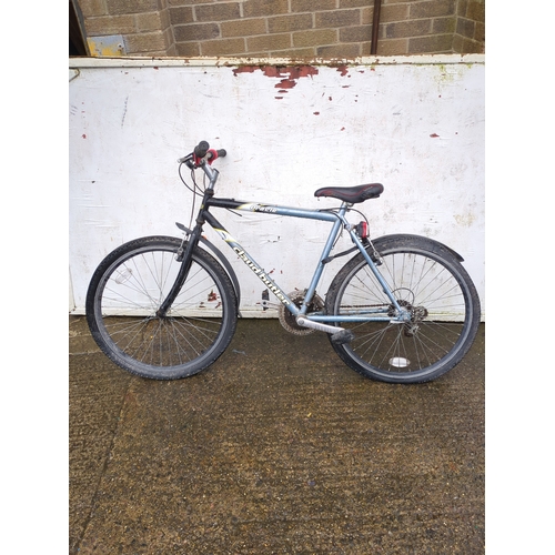 184 - Claud Butler Oracle Bicycle