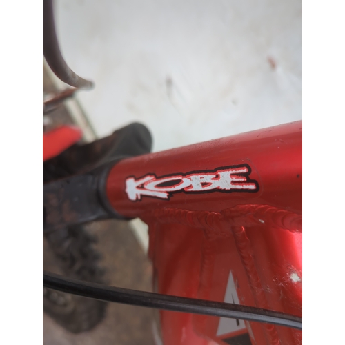 40 - Kobe Arizona Mountain Bike