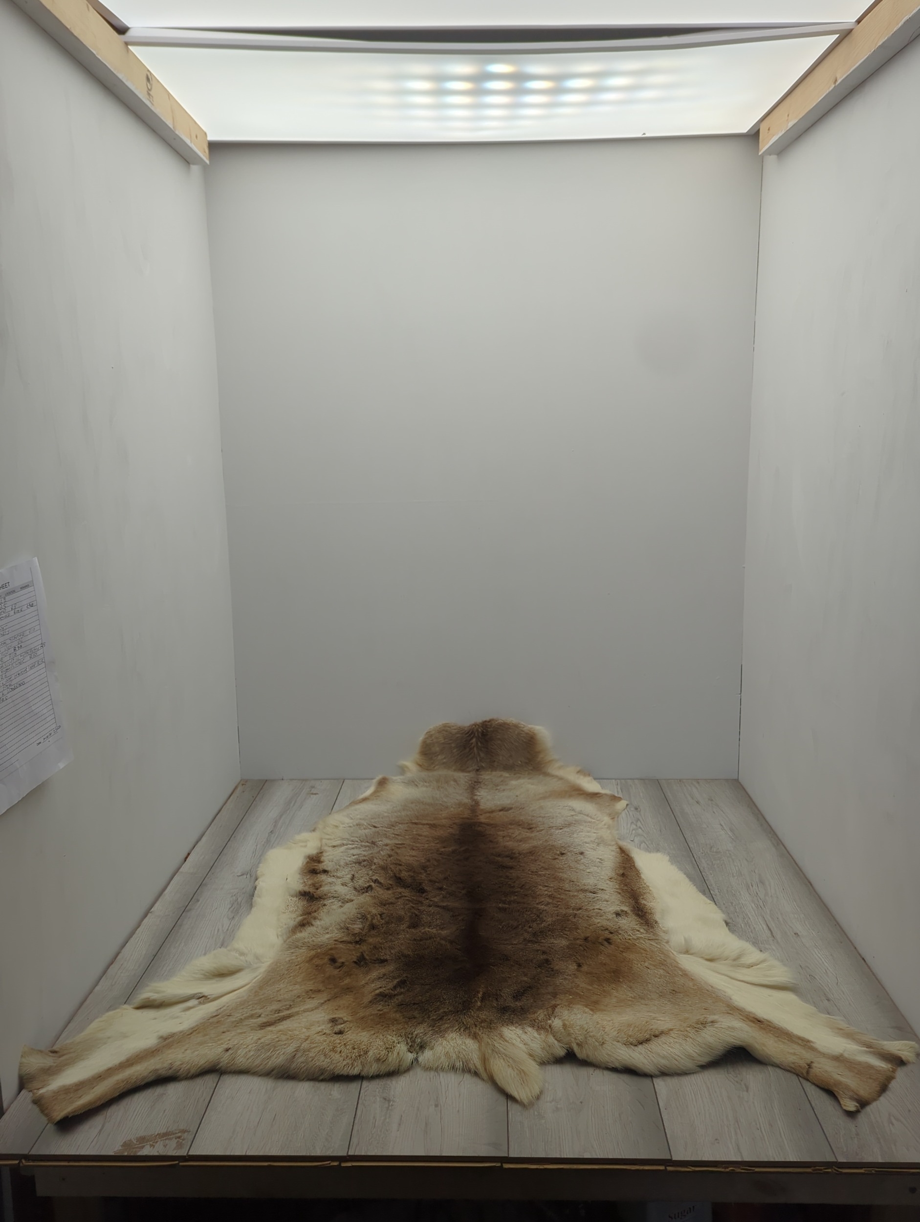 Natural Animal Hide Rug