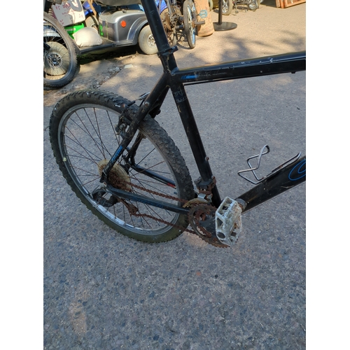 205 - Carrera Mountain Bike
