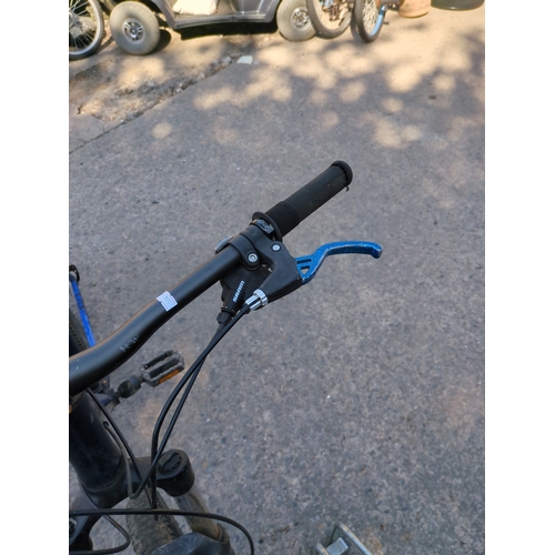 207 - Carrera bicycle