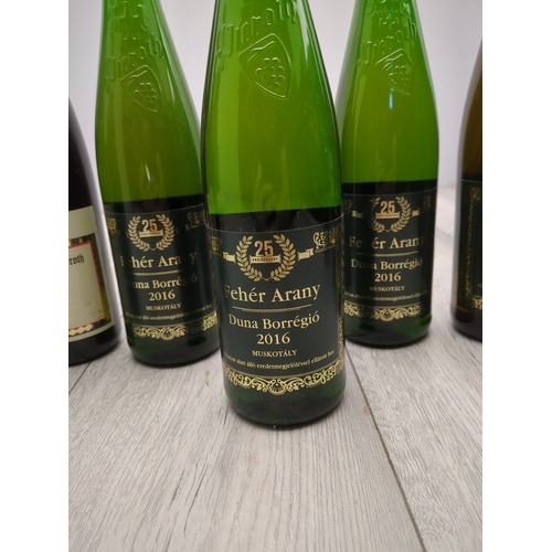 2074 - Lot of Various Wine Bottles including Piccini Impressioni Italiane