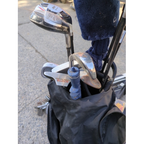 220 - Lot of Golf Clubs and Bags including Bullet and Cobra