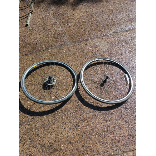 123 - Lot of 2 Bicycle Wheels
