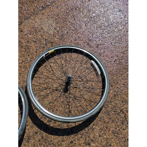 123 - Lot of 2 Bicycle Wheels