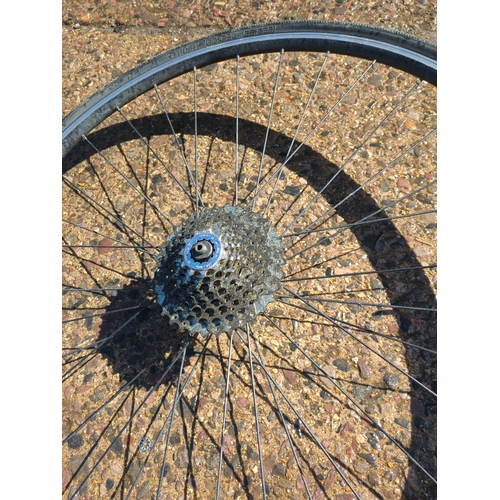 123 - Lot of 2 Bicycle Wheels