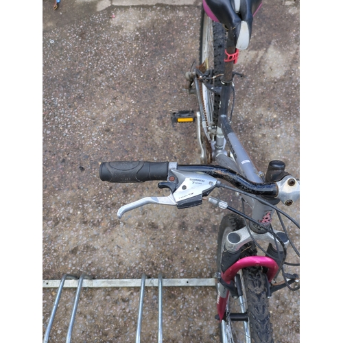 144 - Raleigh Freeride M2000 Bicycle