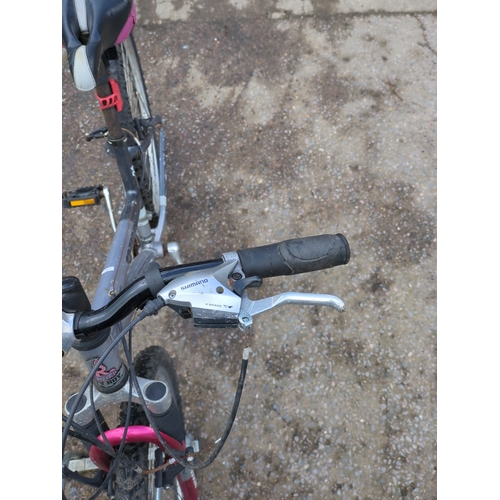 144 - Raleigh Freeride M2000 Bicycle