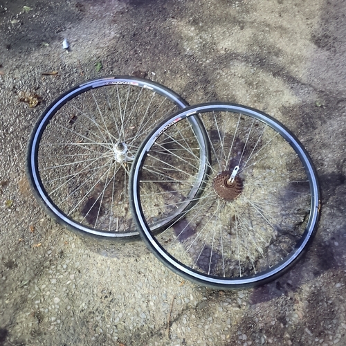 Lot of 2 Bicycle Wheels
