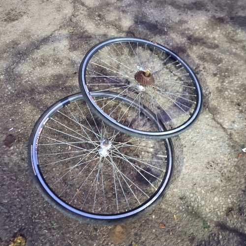 Lot of 2 Bicycle Wheels