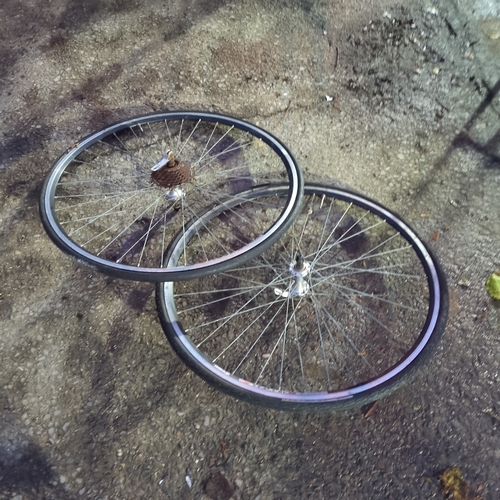 Lot of 2 Bicycle Wheels