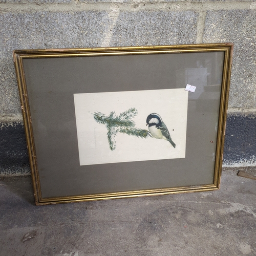 Framed Bird Print