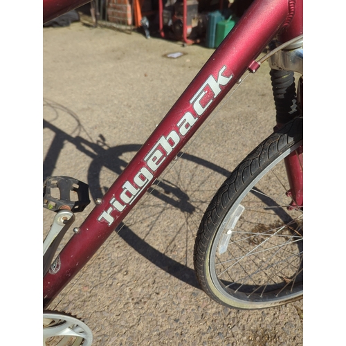 Ridgeback Adventure K5 Bicycle