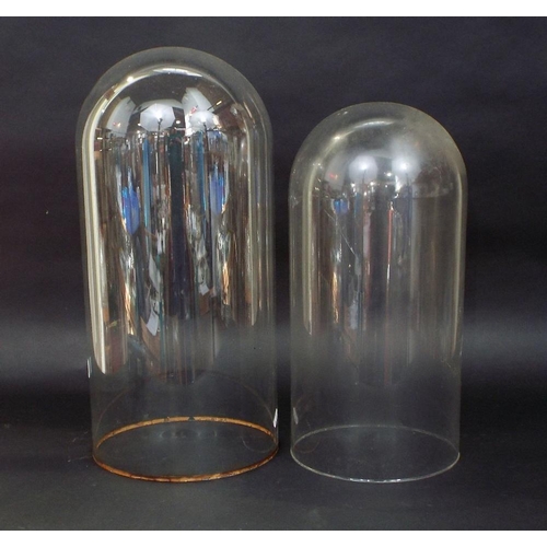 137 - Graduated pair of glass domes,50 and 43cm high respectively (2)