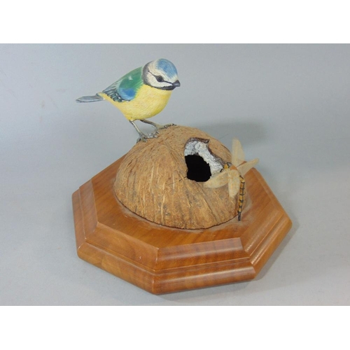 628 - A life sized carved timber model of a blue tit astride a coconut accompanied by a dragonfly,set on a... 