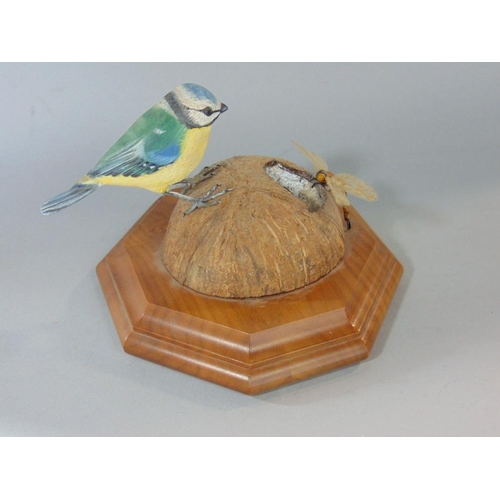 628 - A life sized carved timber model of a blue tit astride a coconut accompanied by a dragonfly,set on a... 