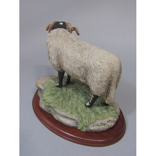 97 - A limited edition Border Fine Arts model of a standing ram inscribed JA Butler edition number 48/500... 