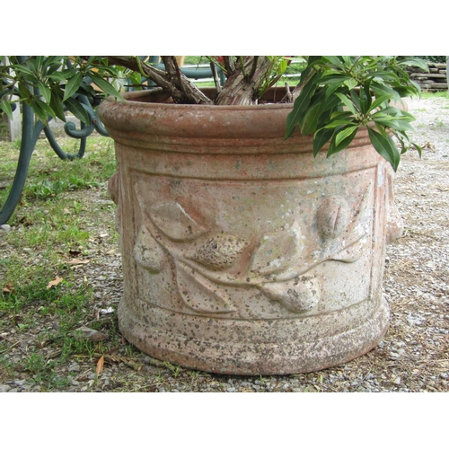 117 - A weathered terracotta style cylindrical planter with trailing floral detail, planted