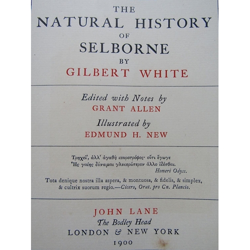 296 - Gilbert White - The Natural History of Selbourne, illustrated by Edmund H. New, leather bound, 1900