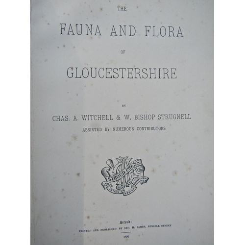 363 - CA Witchell and WE Strugnell - The Fauna and Flora of Gloucestershire 1892; bibliotheca Gloucestrens... 