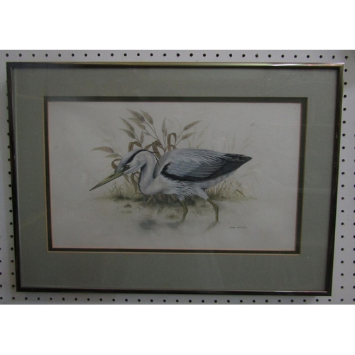 2241 - Warwick Higgs (British B.1956) - Study of a Wren, gouache on paper, signed and dates 77, inscribed v... 