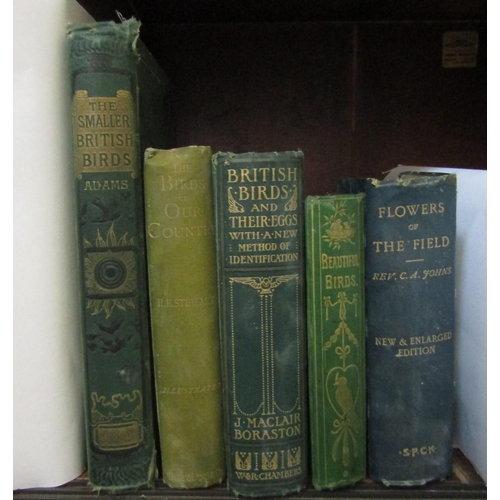 497 - A collection of five late 19th century natural history books mainly about British birds (5)