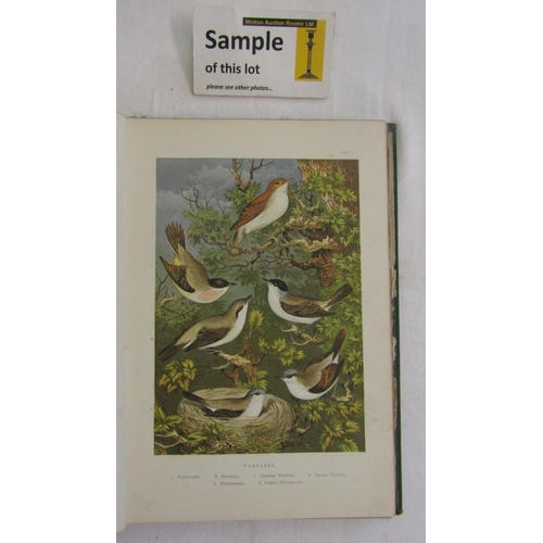 497 - A collection of five late 19th century natural history books mainly about British birds (5)