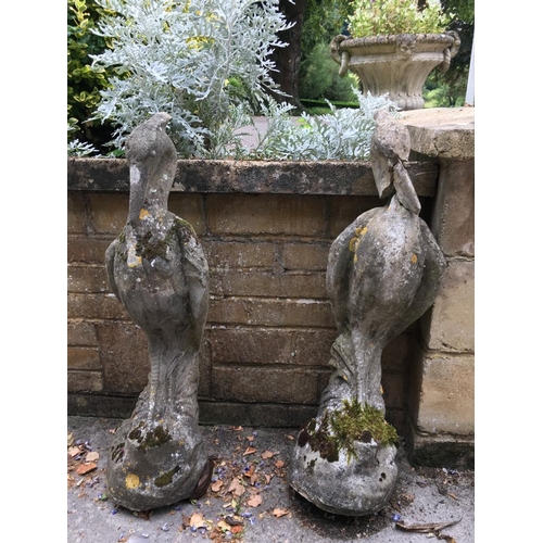 1680 - A pair of well weathered reconstituted herons in stalking pose (1 AF, but repairable) 90 cm high app... 