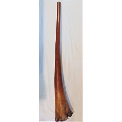 1445 - A single root carved didgeridoo 144 cm long