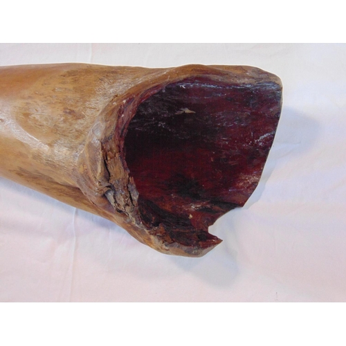 1445 - A single root carved didgeridoo 144 cm long