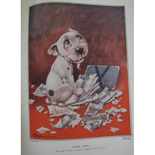 2316 - George E Studdy (British 1878-1948) - The Second Studdy Dogs Portfolio, with 16 plates in colour, Th... 