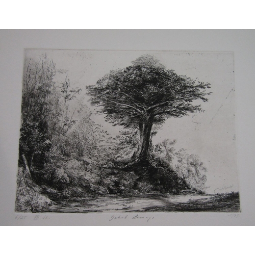 2322 - Edward Powis Jones (20th century) - Signed limited edition black and white etching - biblical scene,... 