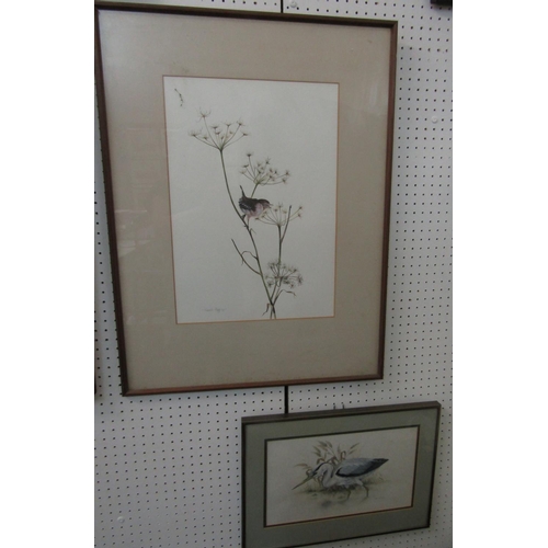 2241 - Warwick Higgs (British B.1956) - Study of a Wren, gouache on paper, signed and dates 77, inscribed v... 