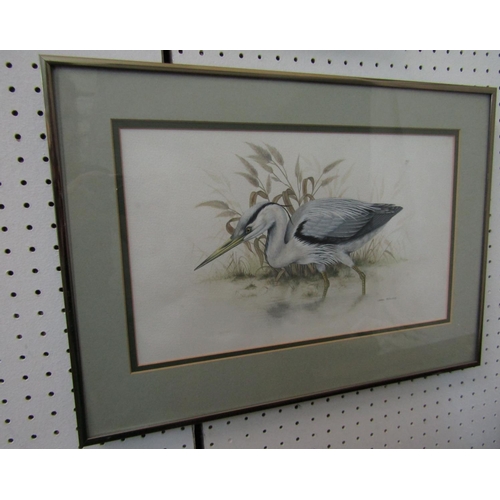 2241 - Warwick Higgs (British B.1956) - Study of a Wren, gouache on paper, signed and dates 77, inscribed v... 