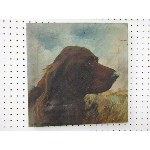 2271 - H Booth (early 20th century school) - a pair of studies of dogs heads - A brown spaniel and a black ... 