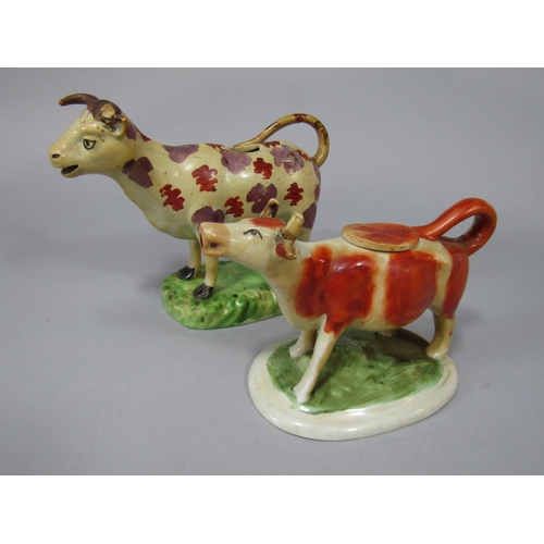 717 - An early 19th century cow creamer with red and pink clustered painted patches, raised on an oval bas... 