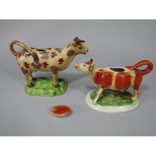 717 - An early 19th century cow creamer with red and pink clustered painted patches, raised on an oval bas... 