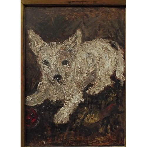 343 - 20th century school - Study of a crouching white terrier with a red ball, oil on board, unsigned, 33... 