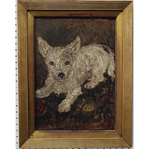 343 - 20th century school - Study of a crouching white terrier with a red ball, oil on board, unsigned, 33... 